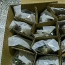 日本進口 nanabosi 七星科學 接頭  NWPC6032ADF35  接觸次數